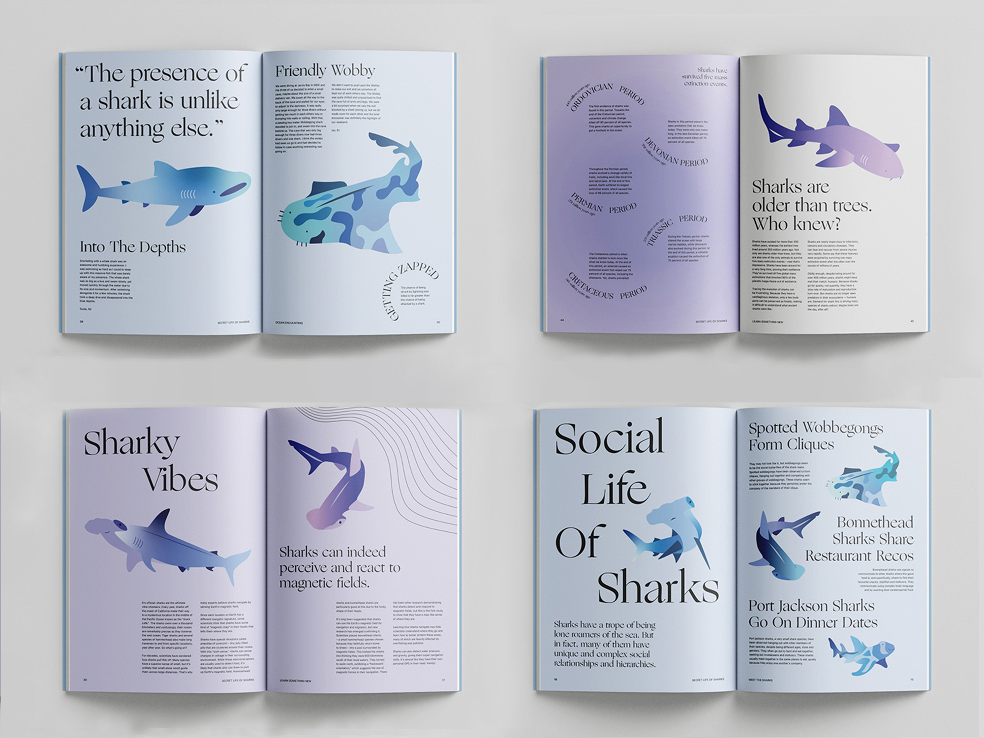 Secret Life of Sharks printed publication pages