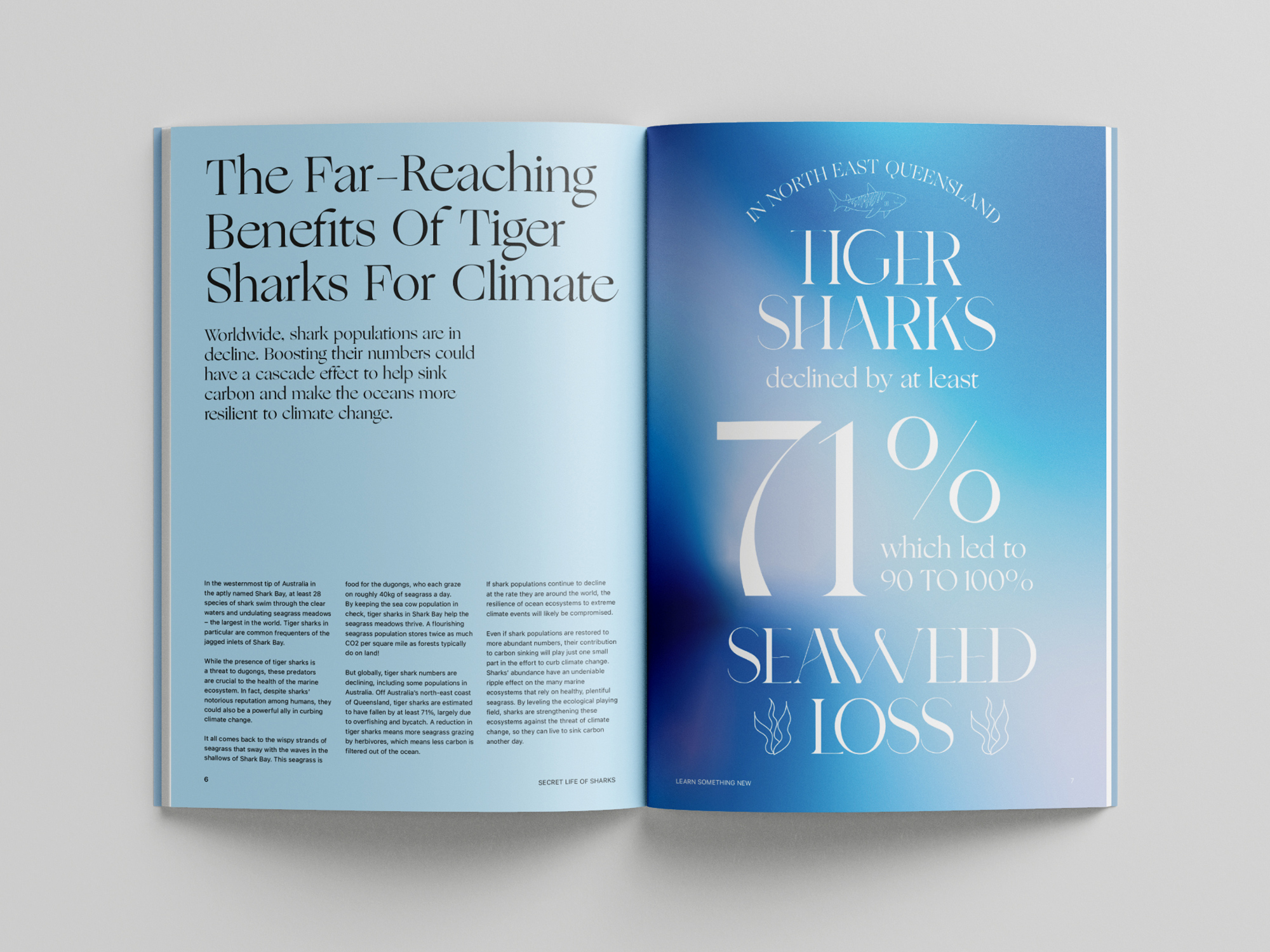 Secret Life of Sharks publication layout