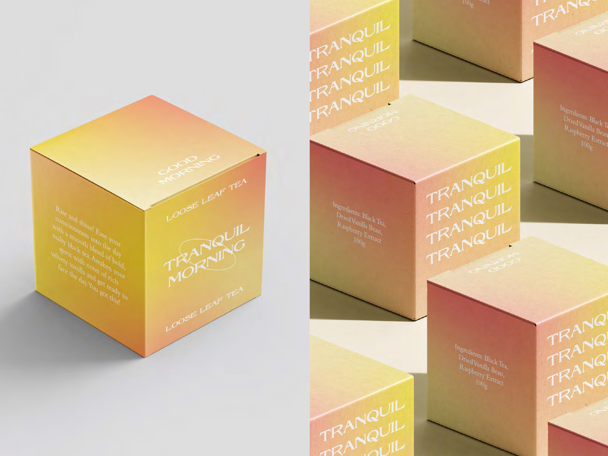 Tranquil sustainable food packaging set