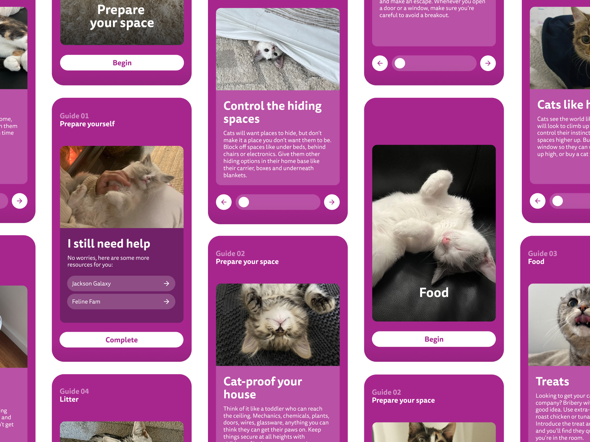 Whiskas campaign digital module design